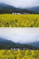 91麻豆视频网站-心随影动，探索91麻豆视频网站背后的文化与情感空间