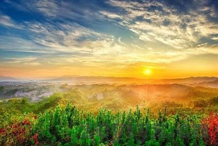 久久久麻豆91大神-解锁色彩斑斓的网文世界 —— 久久久麻豆下的创意与灵感之旅