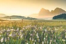 糖心视频app官网最新版-观影新视界，解锁糖心视频APP最新版体验